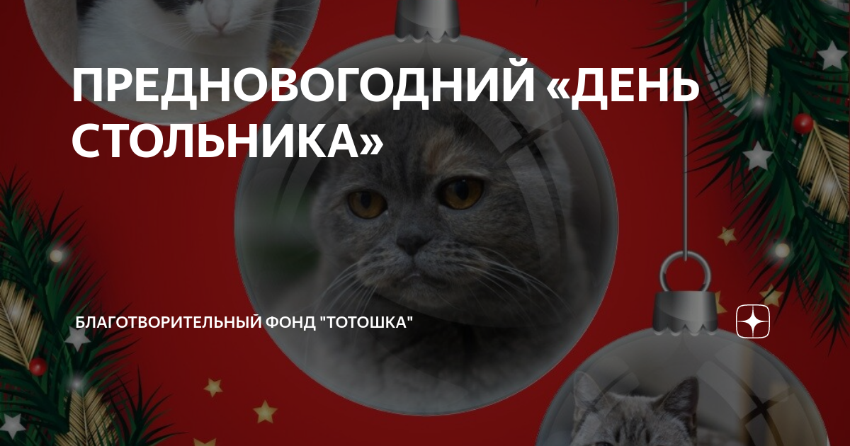 ПРЕДНОВОГОДНИЙ «ДЕНЬ СТОЛЬНИКА» | Благотворительный фонд "ТОТОШКА" | Дзен