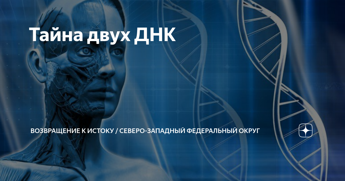 Днк 02 2024 год. Негативные эмоции вызывают болезни. Список болезней, вызванных негативными эмоциями. Картинки, вызывающие негатив психология. Достижения человеческого разума