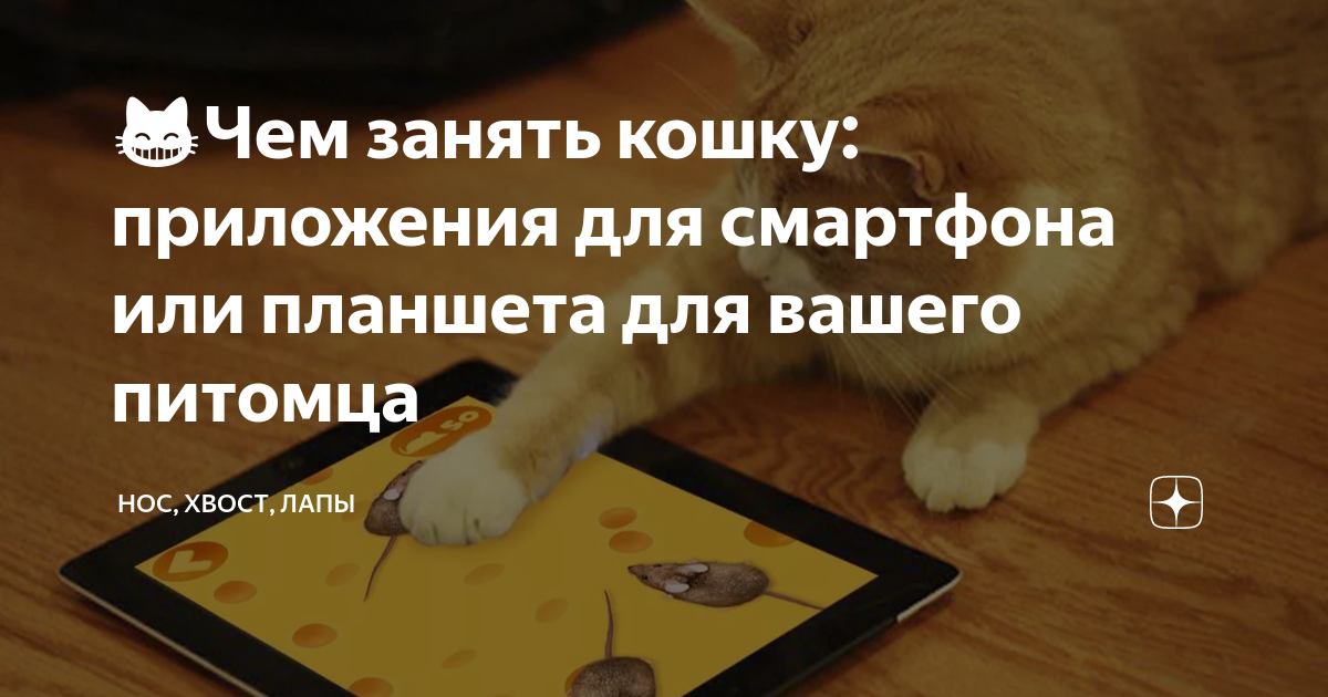 Игры для кошек на планшете: приманивающая забава или негативное пристрастие?