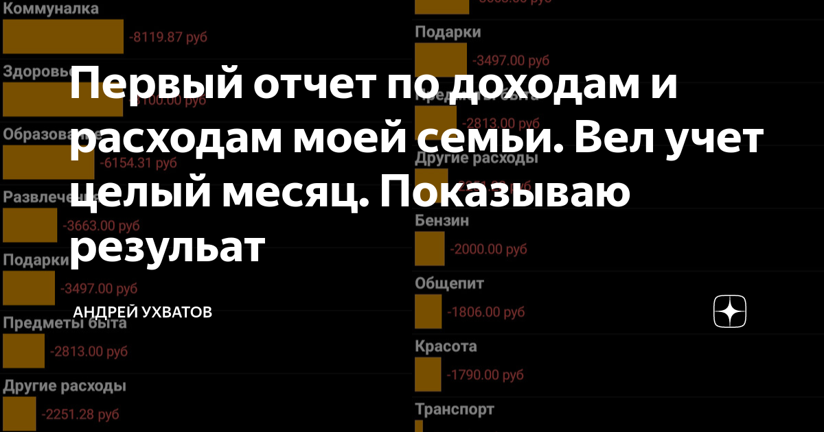 Первый отчет по доходам и расходам моей семьи. Вел учет целый месяц ...