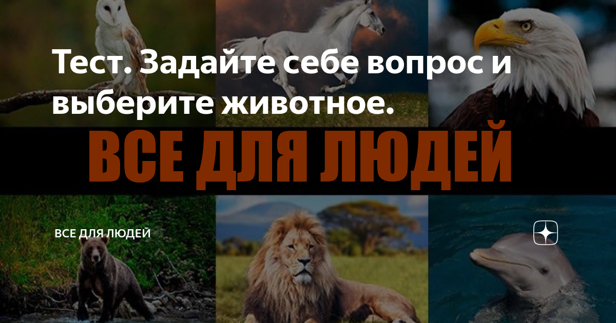 Выбери животное какое хочешь