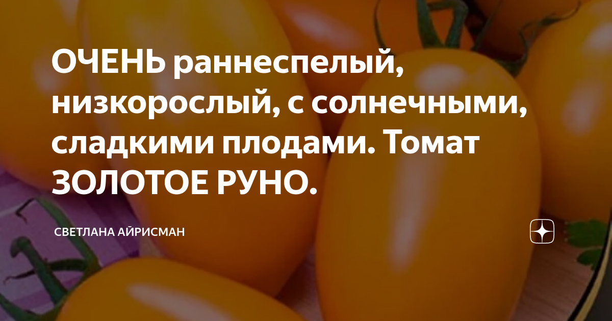 ОЧЕНЬ раннеспелый, низкорослый, с солнечными, сладкими плодами. Томат ...