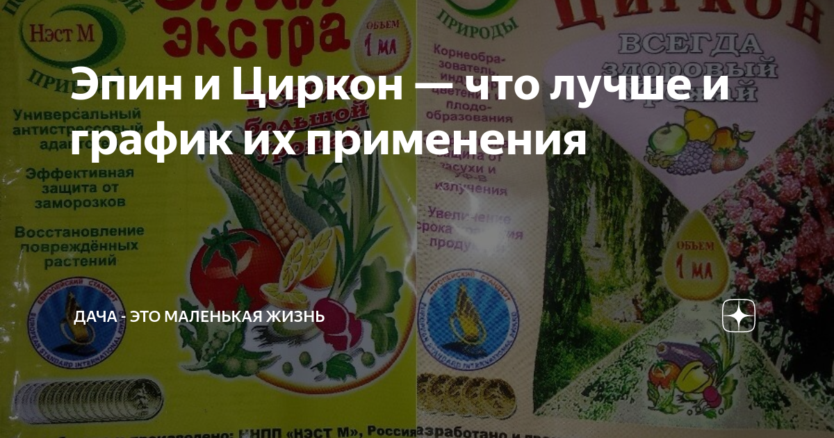 Чем отличается эпин от циркона