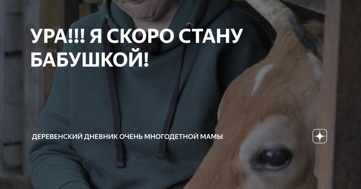 УРА!!! Я СКОРО СТАНУ БАБУШКОЙ! | ДЕРЕВЕНСКИЙ ДНЕВНИК ОЧЕНЬ МНОГОДЕТНОЙ ...