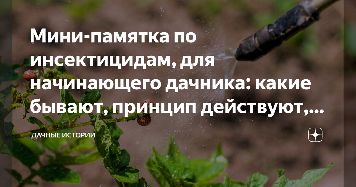 Мини-памятка по инсектицидам, для начинающего дачника: какие бывают ...