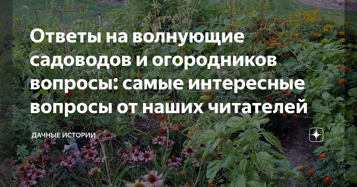 Вся история советского кино с по год в одной таблице • Arzamas