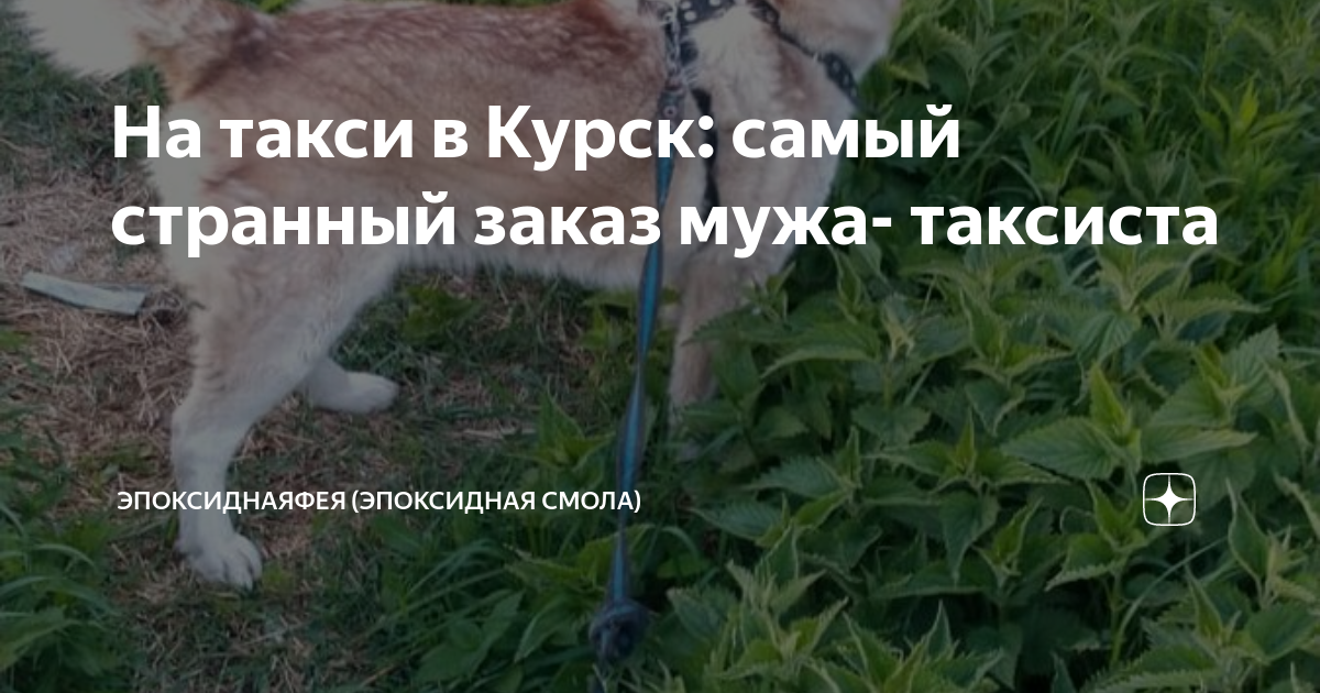 На такси в Курск: самый странный заказ мужа- таксиста | ЭпоксиднаяФея ...