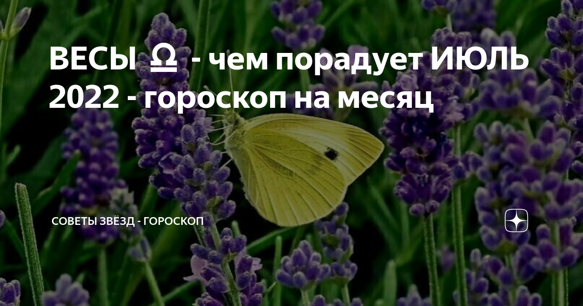 Советы звезд гороскоп дзен