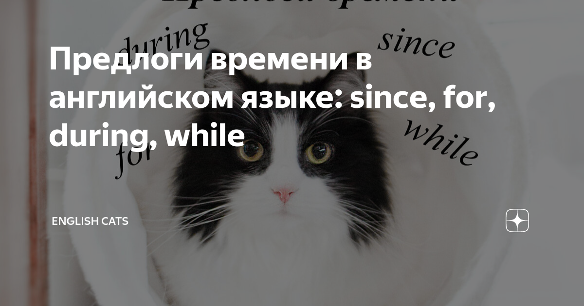 Как будет по английски снова. Вопросы на английском. Как будет по английски снова. Как будет по английски снова. Опять английский.