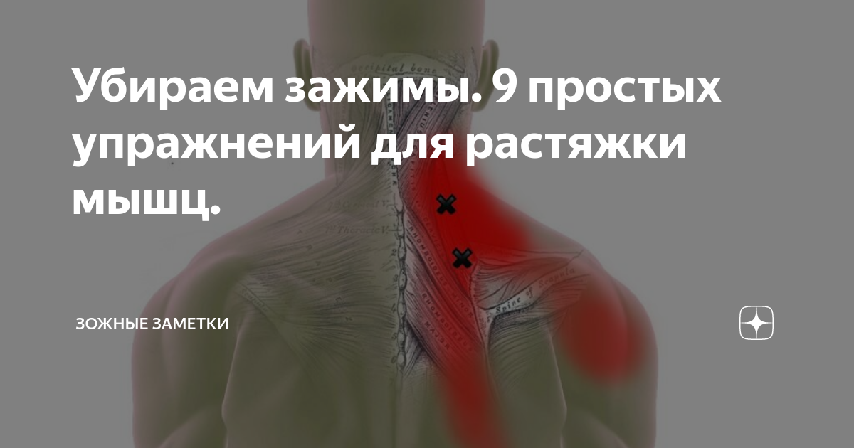 Защемило мышцу Защемило мышцу