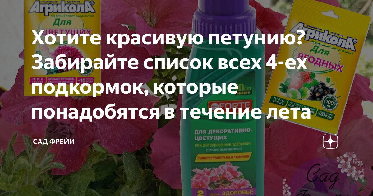 Хотите красивую петунию? Забирайте список всех 4-ех подкормок, которые ...