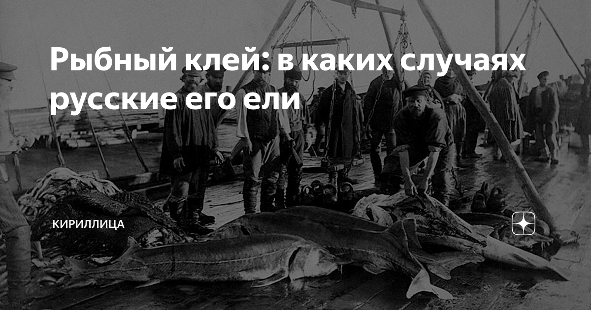 Рыбный клей: в каких случаях русские его ели | Кириллица | Дзен