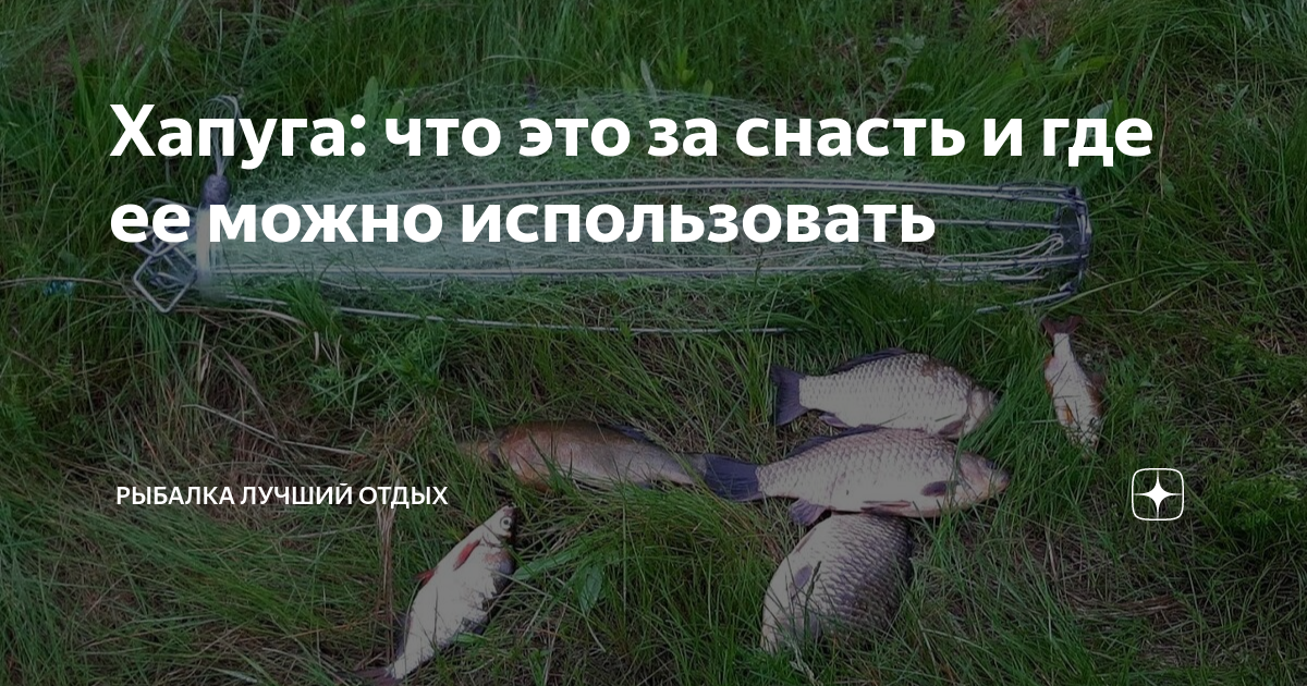 Хапуга: что это за снасть и где ее можно использовать | Рыбалка Лучший ...