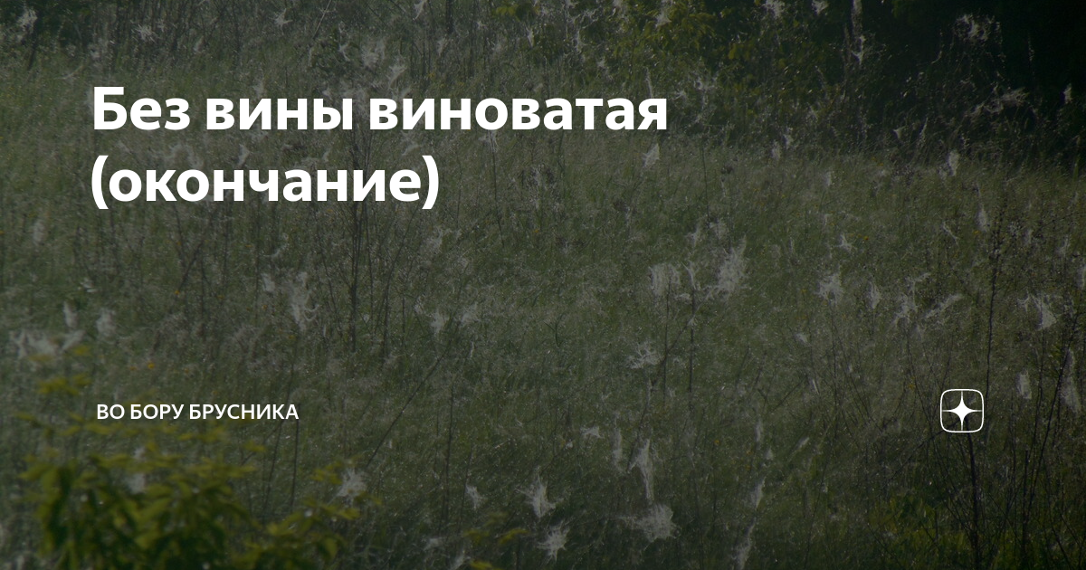 Без вины виноватая (окончание) | Брусникины рассказы | Дзен