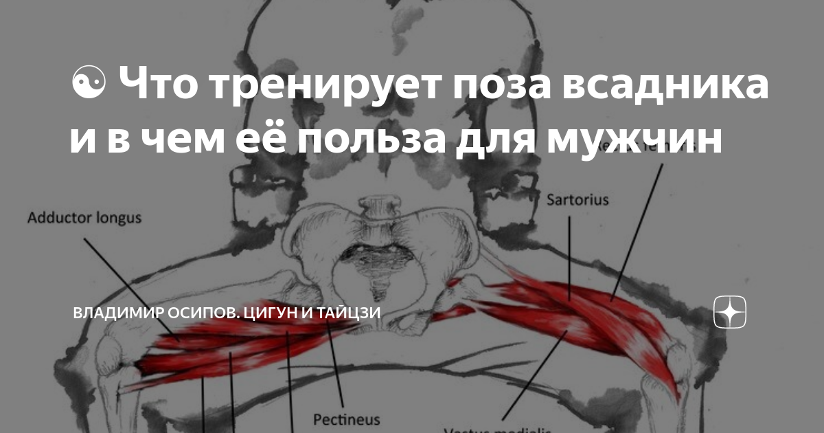 Стойка всадника цигун польза. Поза всадника цигун. поза всадника упражнение. поза всадника ушу.