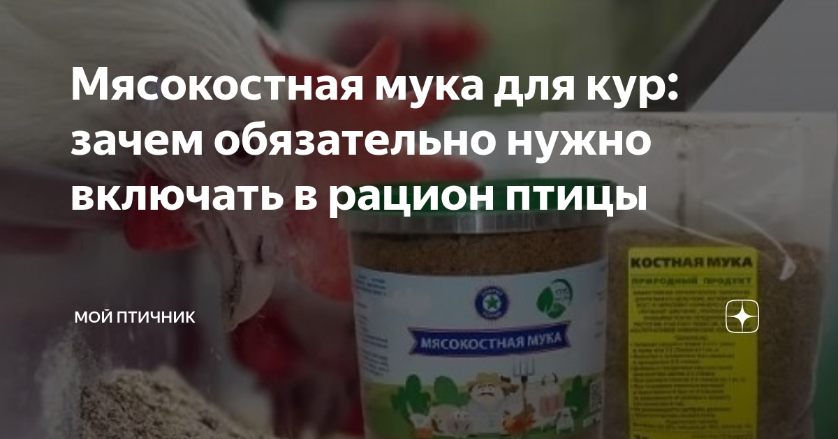 Мясокостная мука для кур: зачем обязательно нужно включать в рацион ...