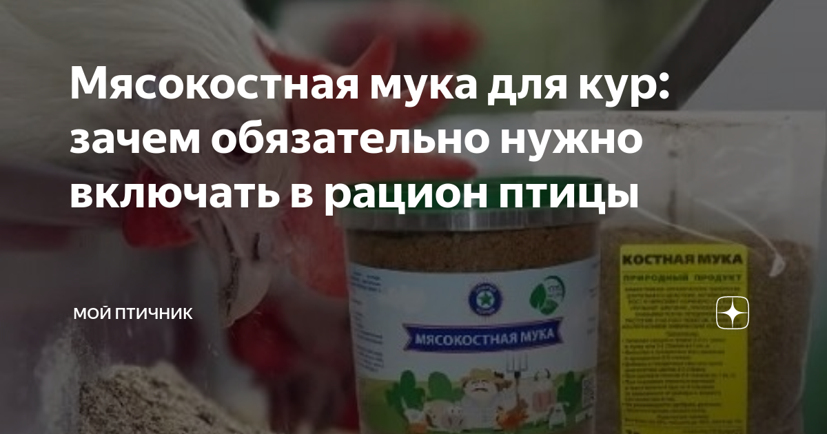 Мясокостная мука для кур-несушек, цыплят, бройлеров: как правильно давать, дозировки