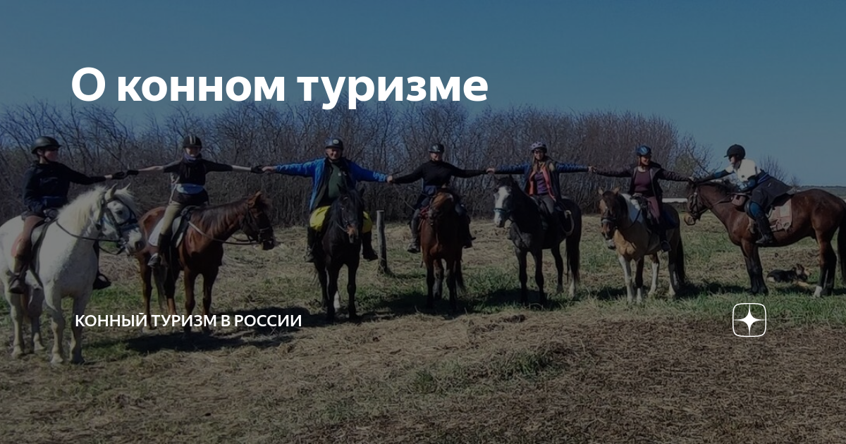 О конном туризме | Конный туризм в России | Дзен