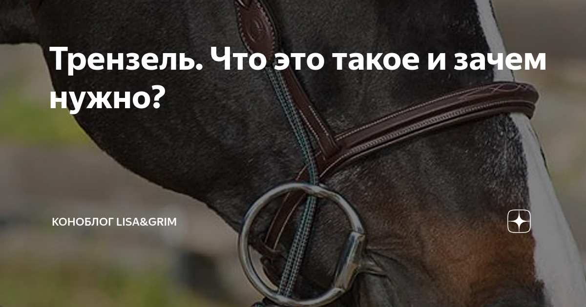Трензель. Что это такое и зачем нужно? | My horse story | Дзен