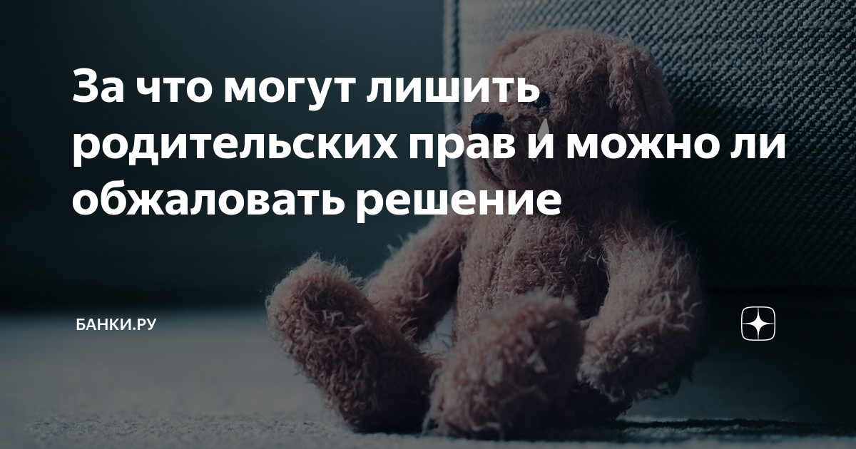 можно ли обжаловать решение суда спустя год