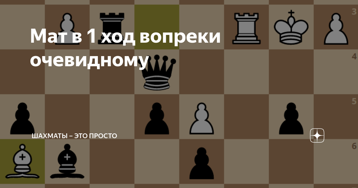 Рапид в шахматах что это означает. Рапид шахматы. Разные маты в шахматах. Как правильно ставить шахматы. Черный ход