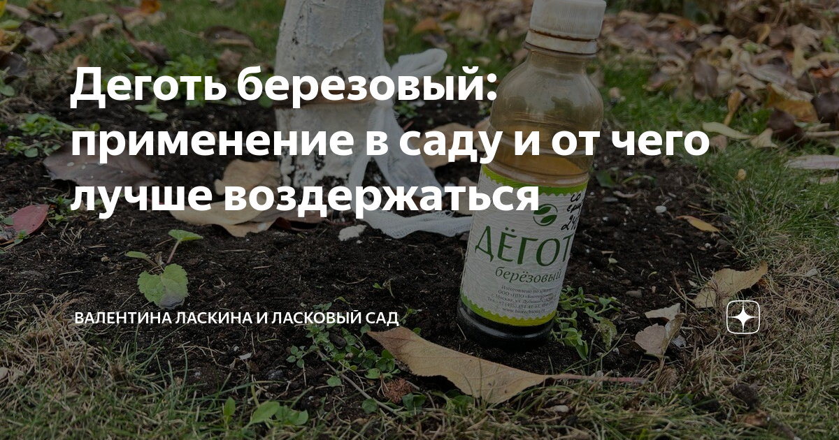 Деготь березовый: применение в саду и от чего лучше воздержаться ...