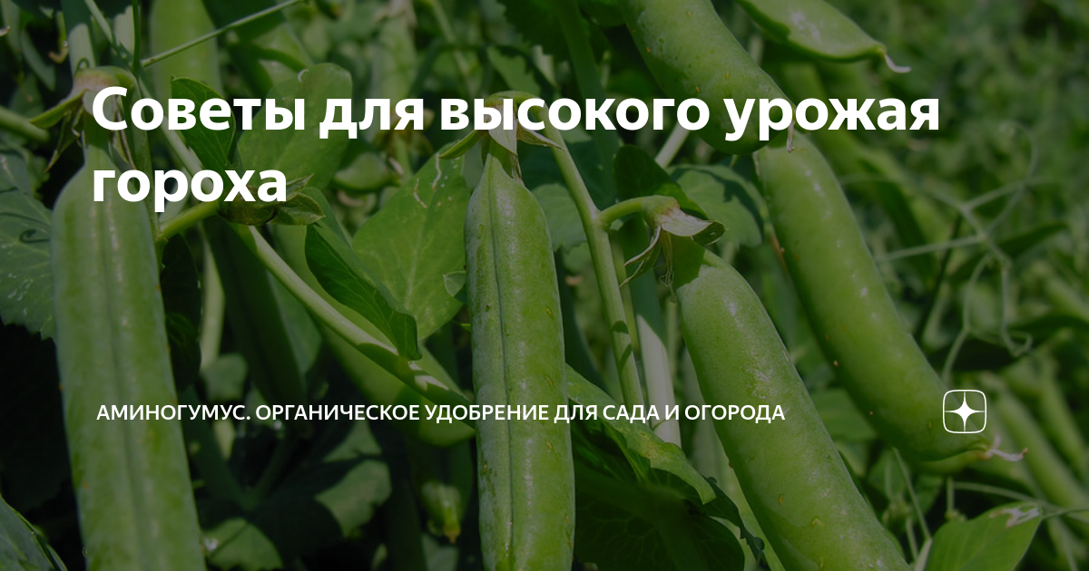 Особенности выбора места для посадки