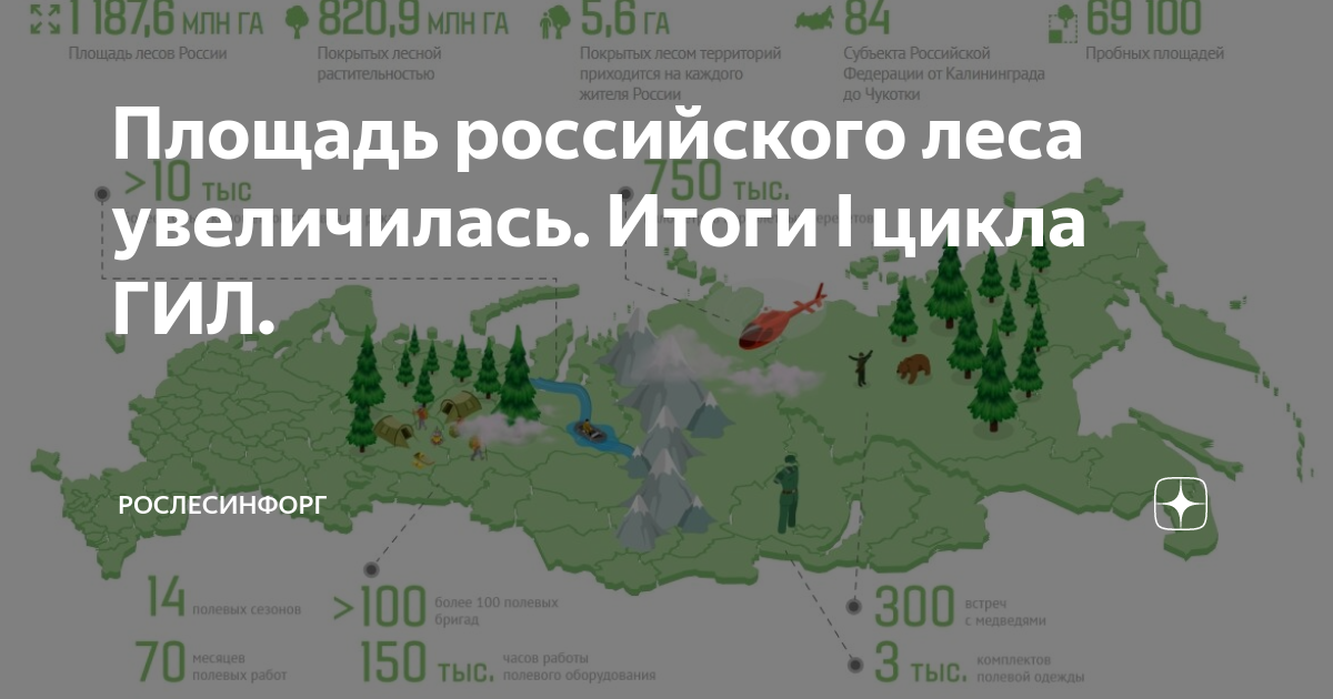 Площадь российского леса увеличилась. Итоги I цикла ГИЛ. | Рослесинфорг ...