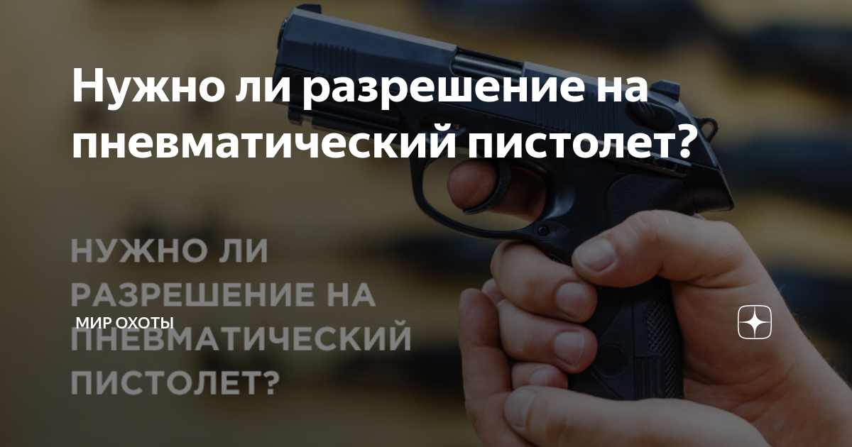 Нужно ли разрешение на psp винтовку