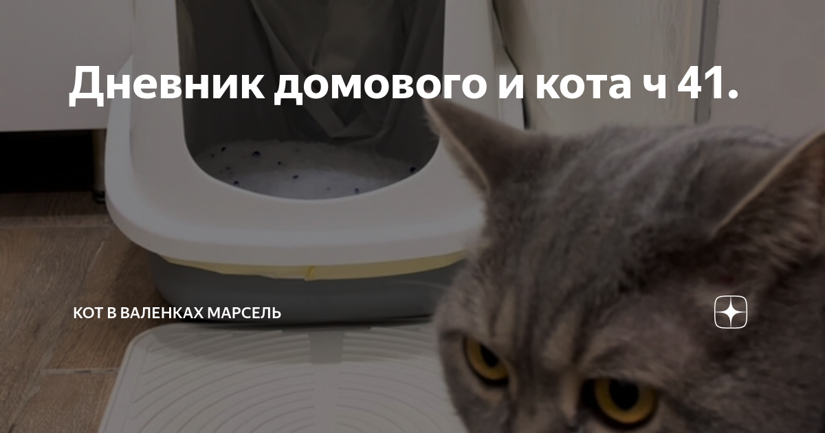 Дневник домового и кота ч 41. | Кот в валенках Марсель | Дзен