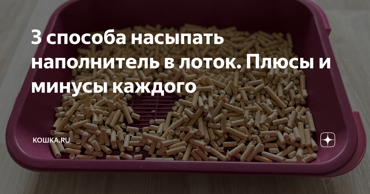 3 способа насыпать наполнитель в лоток. Плюсы и минусы каждого | skazki-rus.ru | Дзен