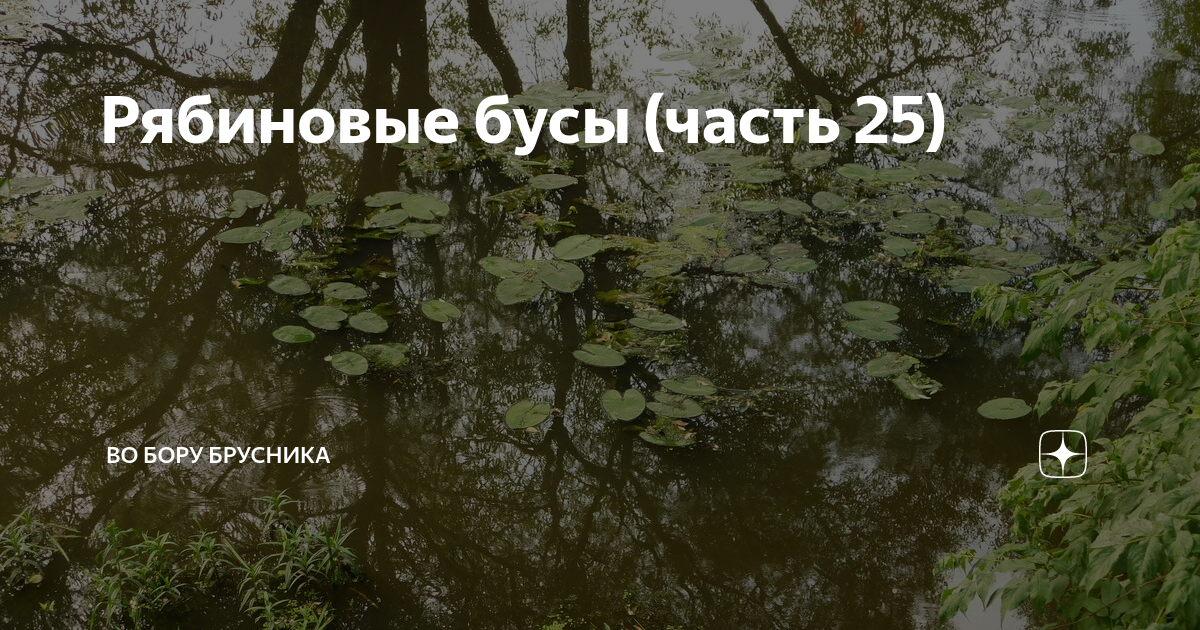 Во бору брусника рассказы на дзен