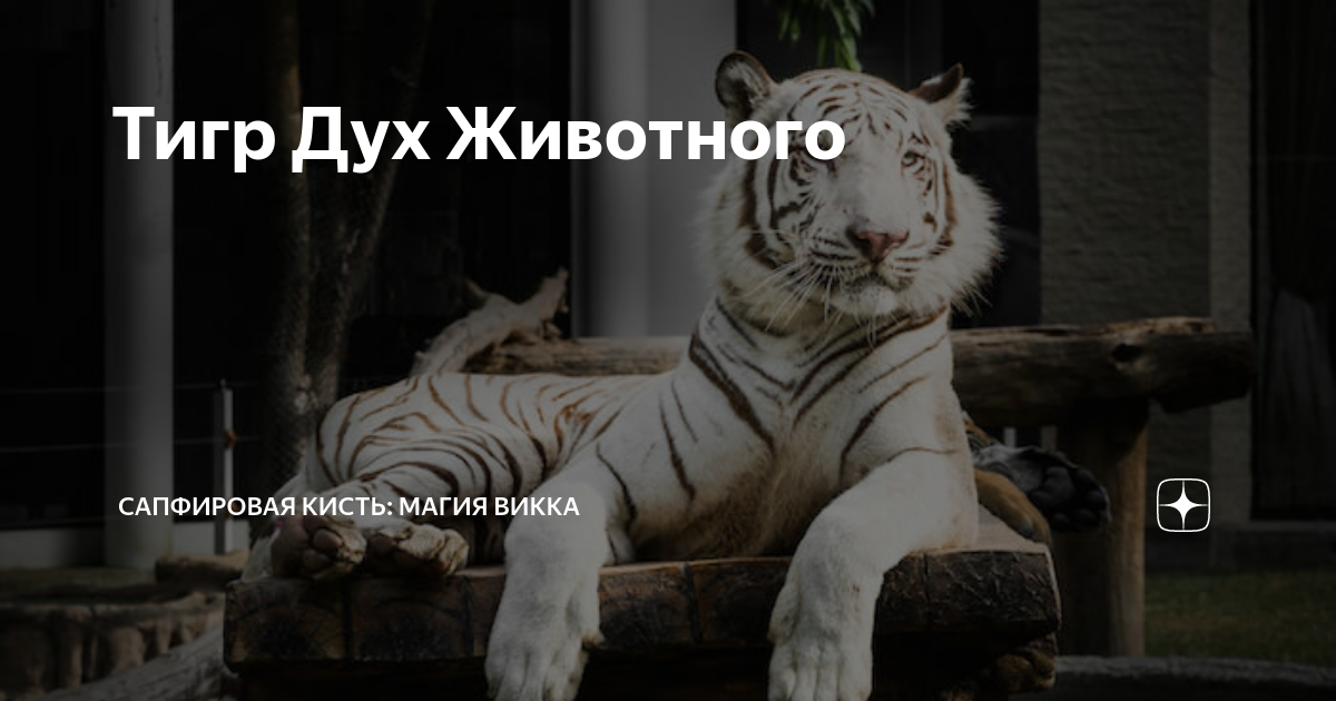 Сапфировая кисть дзен