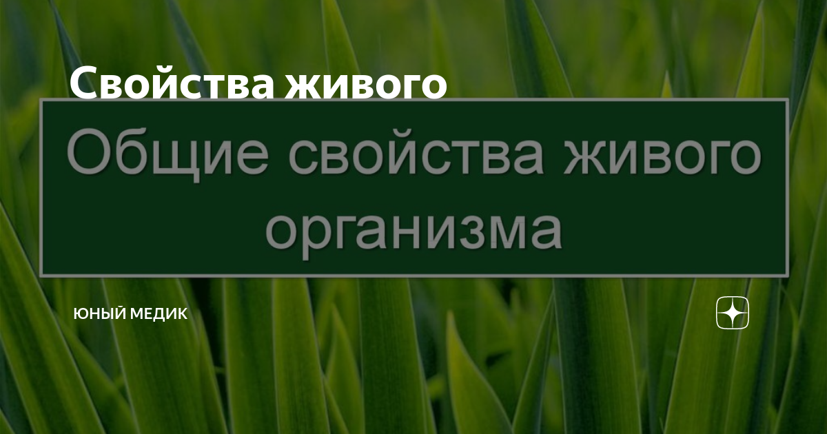Свойства живого и характеристика таблица. Свойства живого рост. Свойства живого. Такое свойство живых организмов изображено на рисунке?. Свойства живого рост.