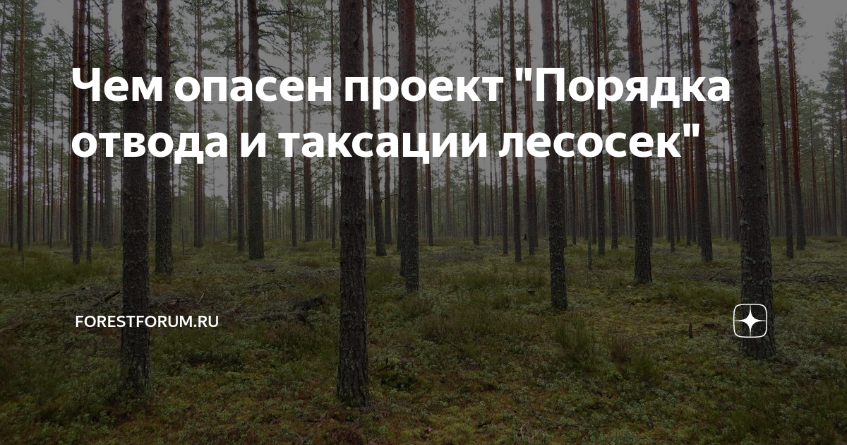 Вопросы по аттестации таксация лесосек тестовые отвод. Отвод и таксация лесосек. Таксация лесосек. Таксация проект. Требования по отводу и таксации лесосек.