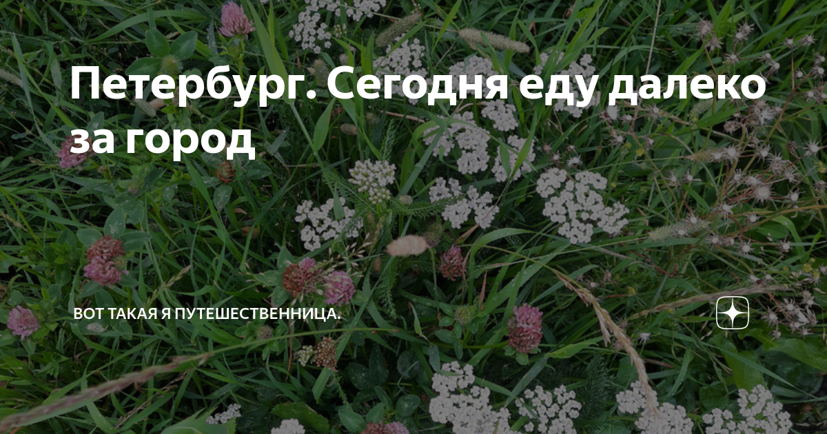 Петербург. Сегодня еду далеко за город | Вот такая я путешественница ...