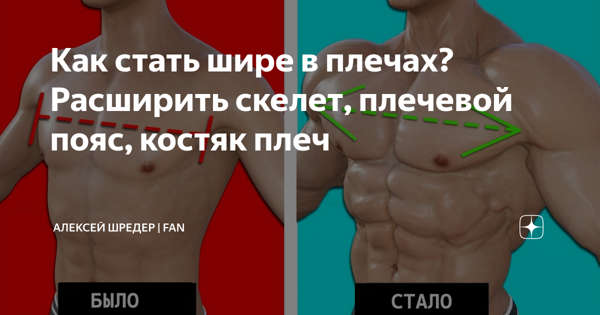 Как стать шире в плечах? Расширить скелет, плечевой пояс, костяк плеч |  Алексей Шредер | FAN | Дзен