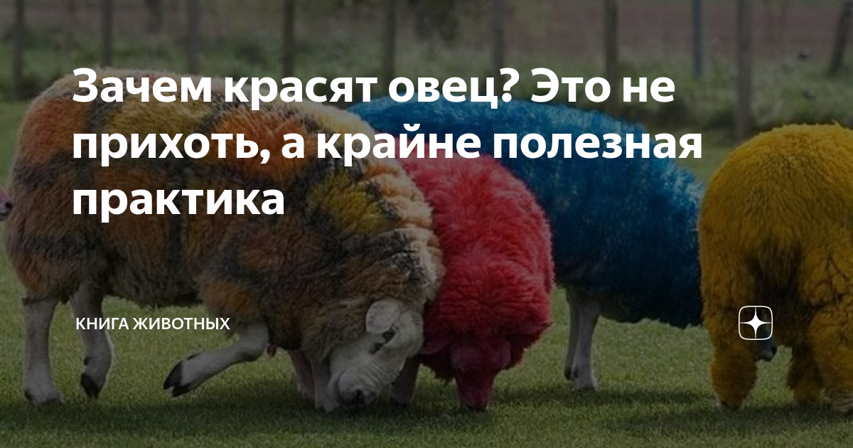 Зачем красить суппорта