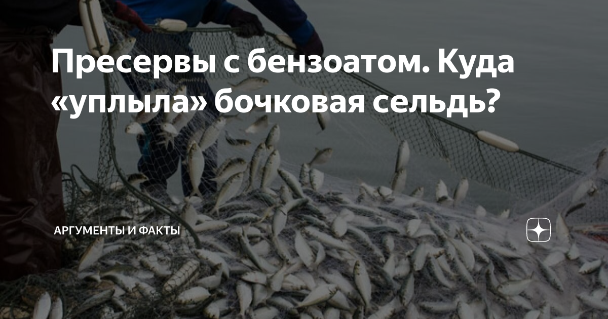 Пресервы с бензоатом. Куда «уплыла» бочковая сельдь? | Аргументы и ...
