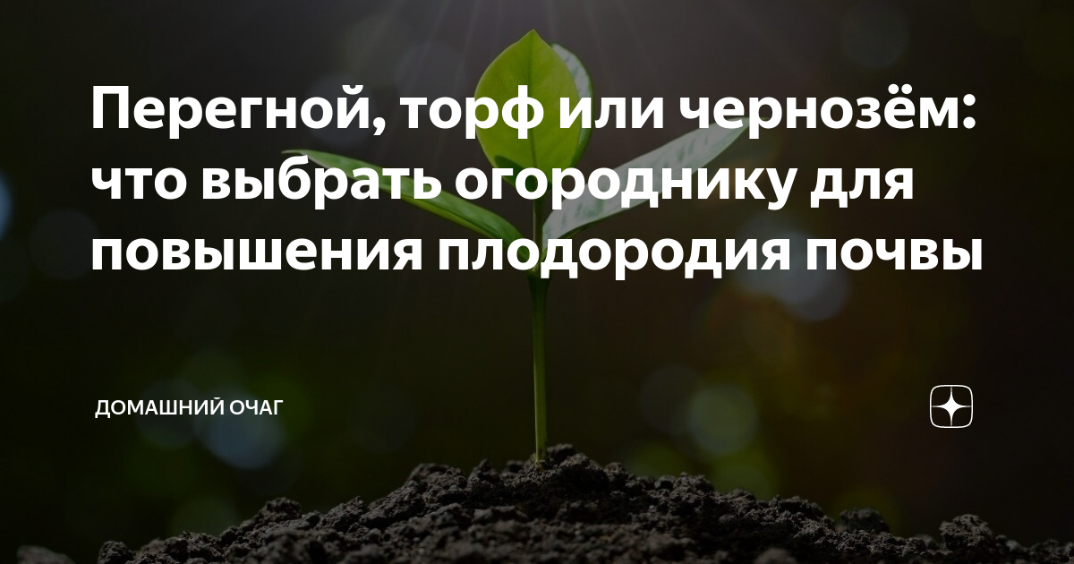 Перегной, торф или чернозём: что выбрать огороднику для повышенияплодородия почвы