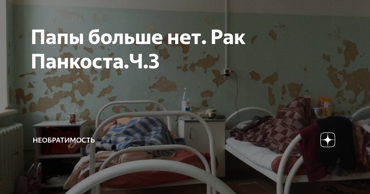 Папы больше нет. Рак Панкоста.Ч.3 | Irreversibility | Дзен