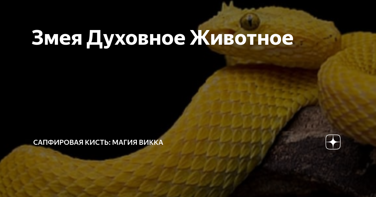 Змея Духовное Животное | Сапфировая Кисть: Магия, таро, астрология, и ...