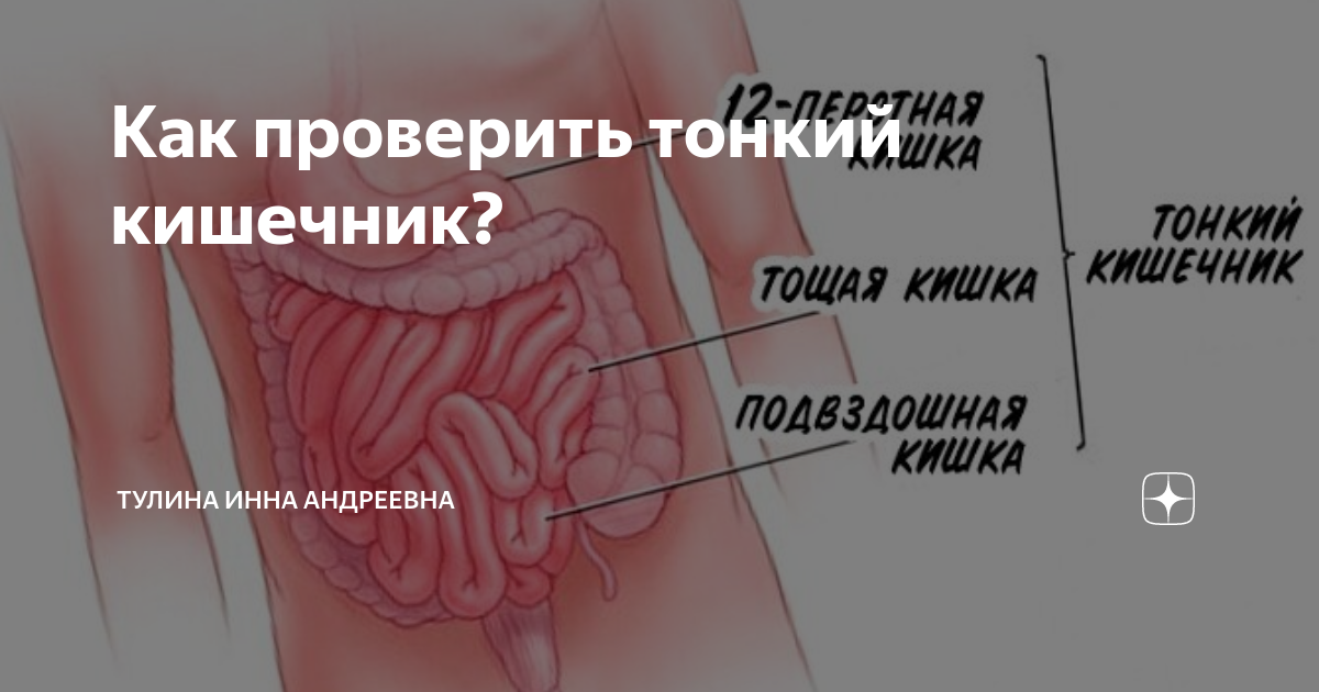 Как проверить тонкий кишечник