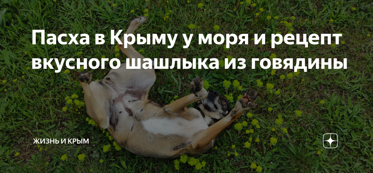 Пасха в Крыму у моря и рецепт вкусного шашлыка из говядины | жизнь и ...