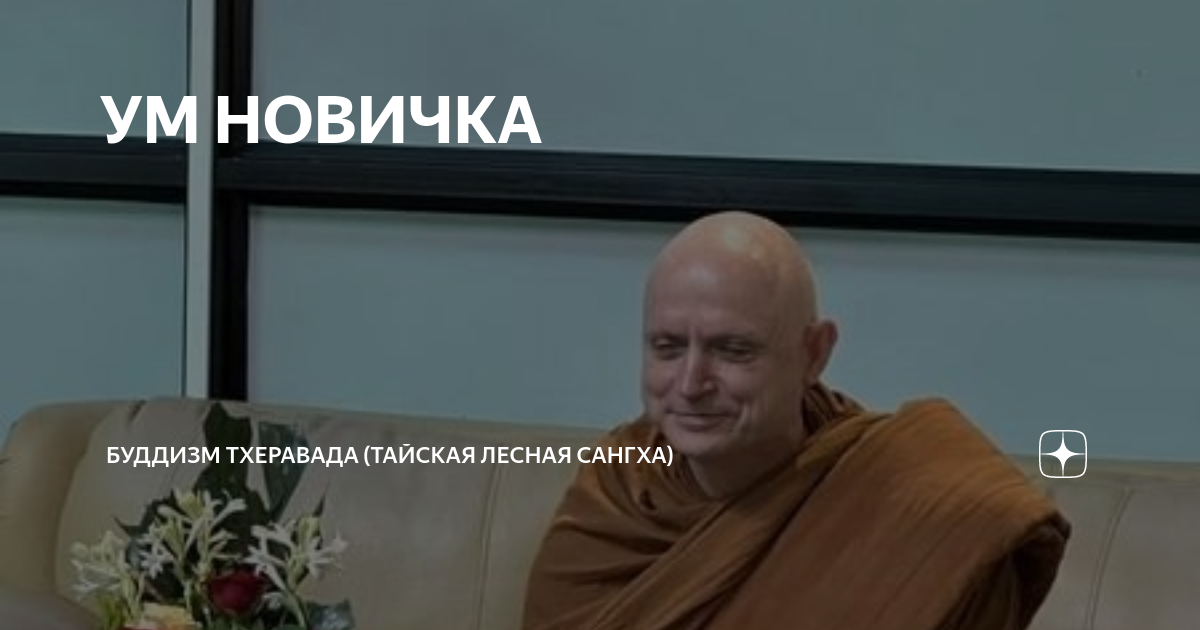 Онжеребенок истории. Будни многомамы дзен читать рассказы. Будни многомамы дзен читать рассказы. Будни многомамы дзен читать рассказы. Будни многомамы дзен читать рассказы.