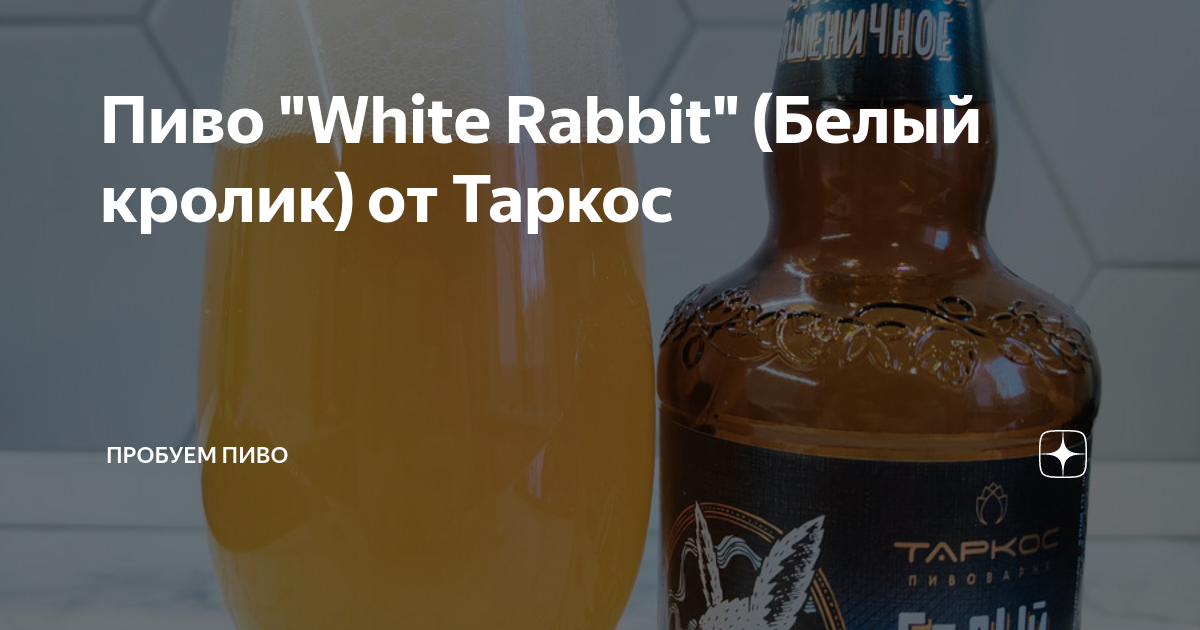 Пиво "White Rabbit" (Белый кролик) от Таркос | Пробуем пиво | Дзен