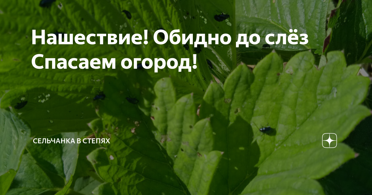 Мужчина избил и выгнал зимой из дома голой на улицу жену в Пензенской области