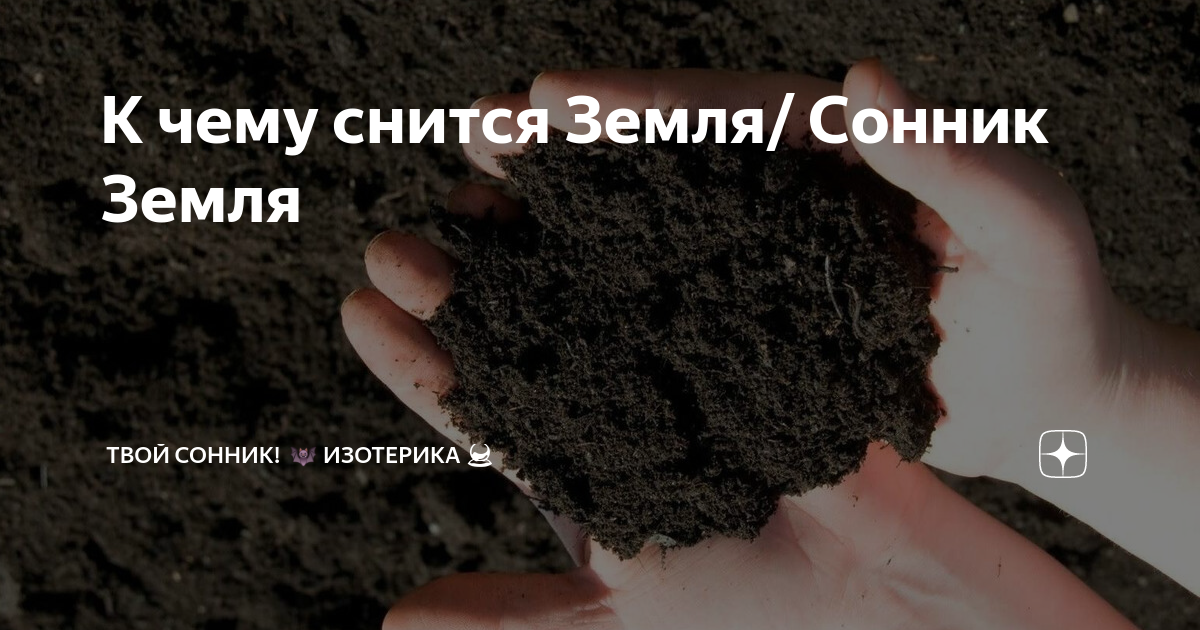 Сонник земля собирать