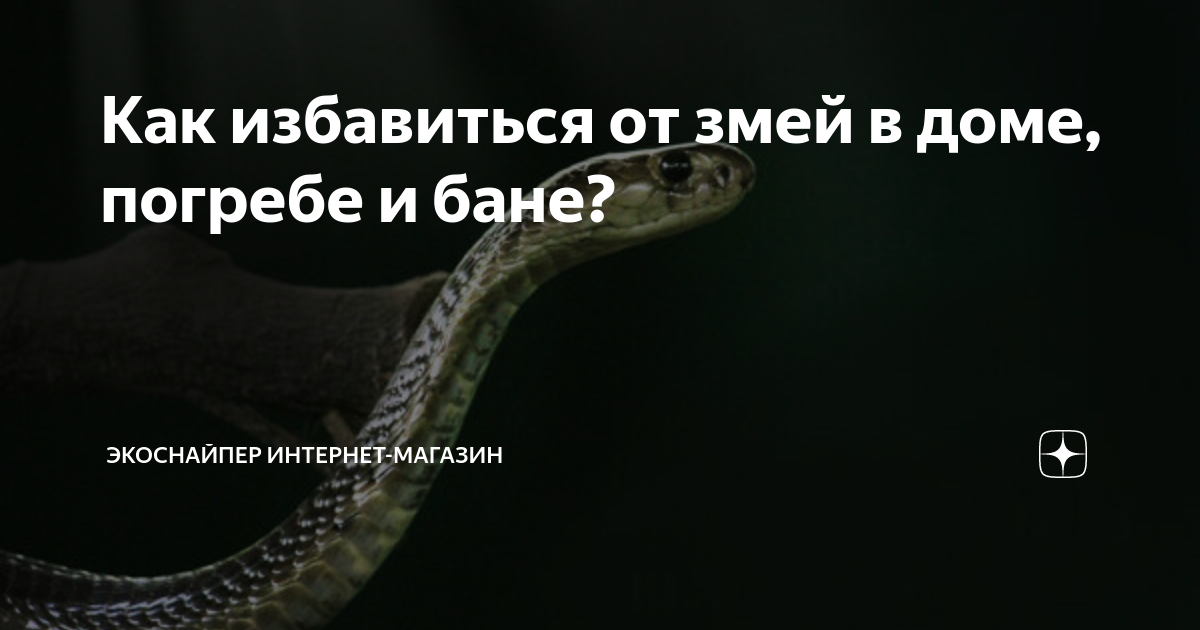 Как избавиться от змей в доме, погребе и бане? | ЭкоСнайпер - канал по ...