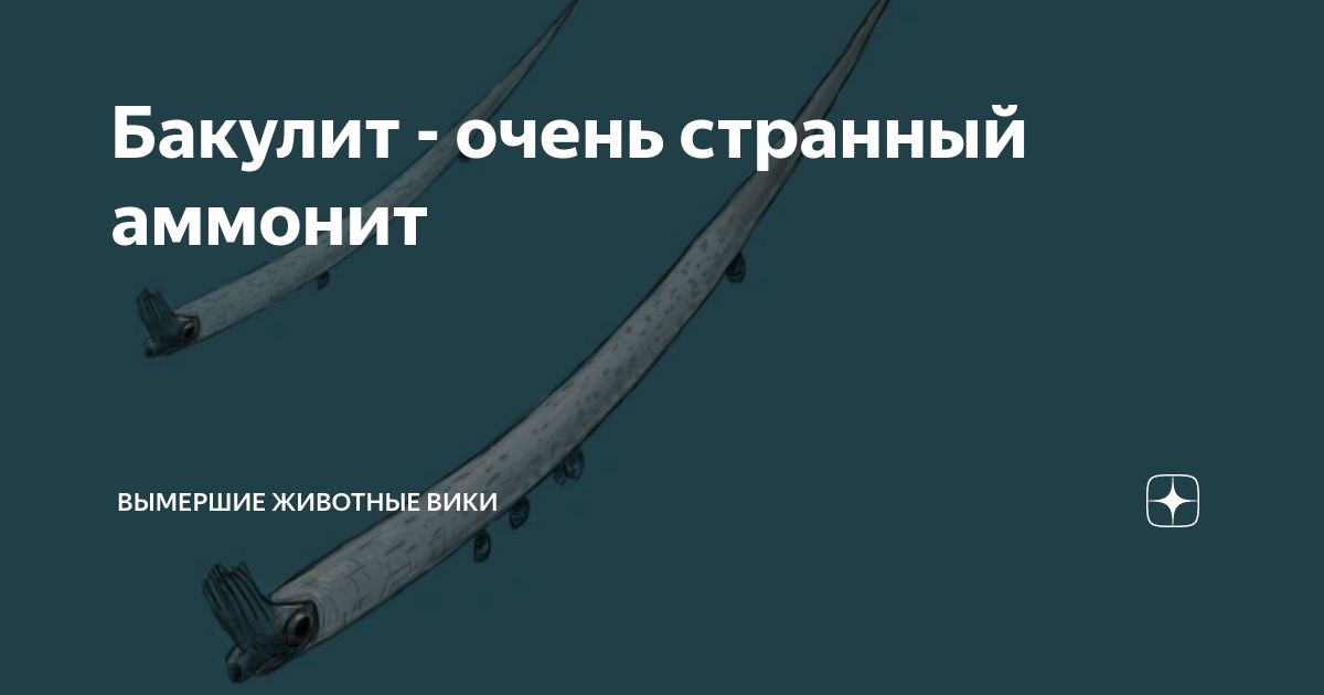 Бакулит - очень странный аммонит | Вымершие животные вики | Дзен